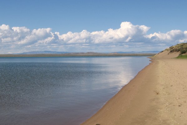 Кракен zerkalo pw