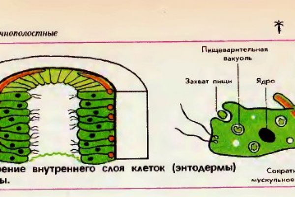 Как перейти на кракен