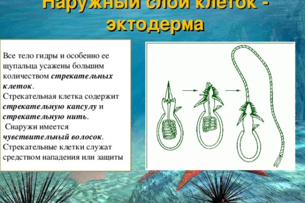 Kraken сайт krakens15 at