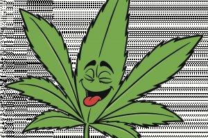 Как зарегистрироваться на сайте кракен